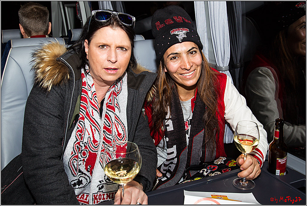 DEL, Koelner Haie - Duesseldorfer EGY, 22.01.2017